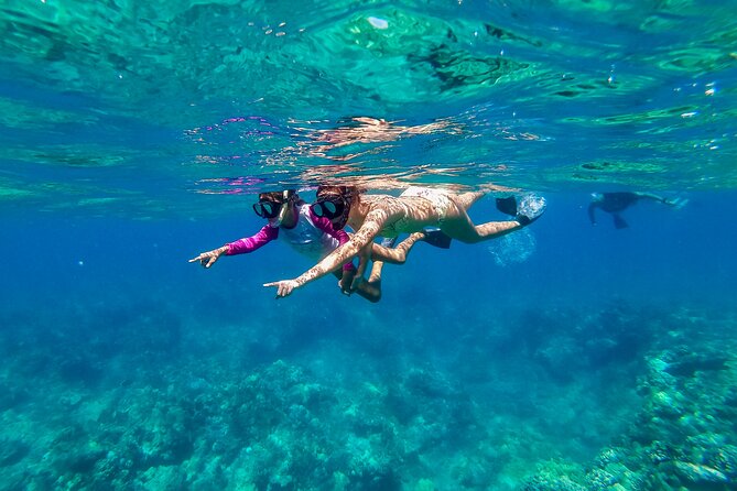 Big Island Snorkel Cruise from Waikoloa - A useful lesson before you enter the water