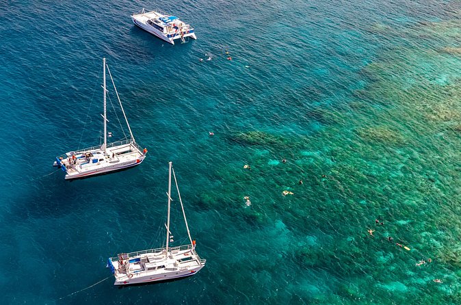 Big Island Snorkel Cruise from Waikoloa - The $185 price and what it covers
