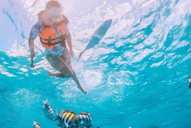 Boat and Snorkel Tour to 5 Islands of Los Arcos - From Zona Romántica to Mismaloya by local bus