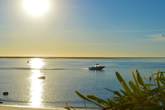 Boat Tour of 2 Ria Formosa Islands: Culatra and Armona - Deserta Beach in summer