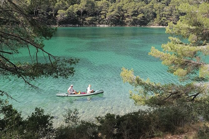 Boat Tour to Mljet National Park & 3 Islands - The essential facts before you book