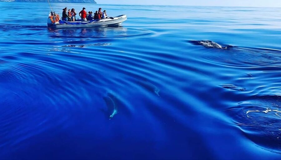 Boat Trip to Corvo and Island Sightseeing Tour - Weather can change the whole outing