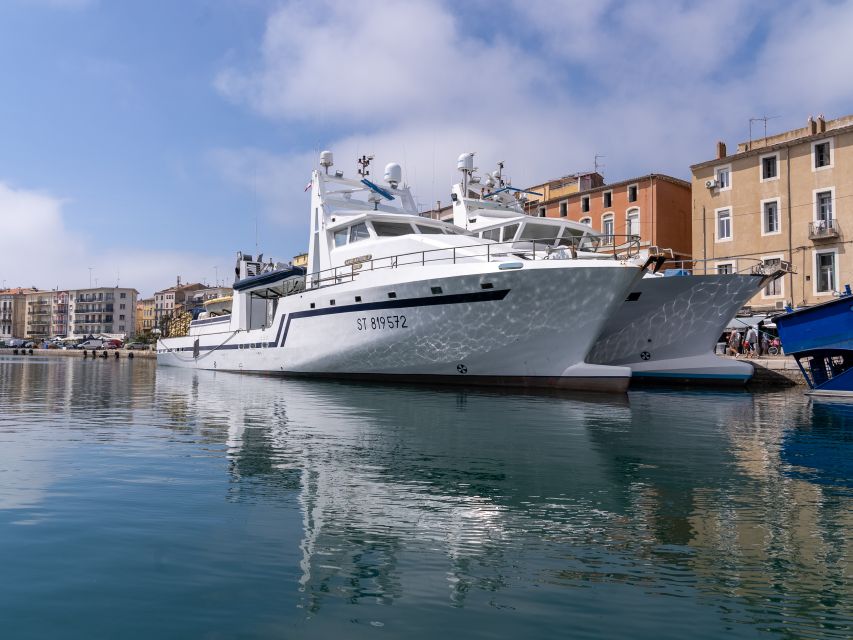 Boat walk in Sete on the singular island 1 hour - What the One-Hour Route Gives You