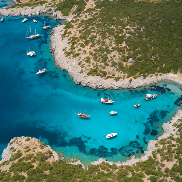 Bodrum Cleopatra & Orak Island Mix Tour by Boat - Who will get the most from this tour