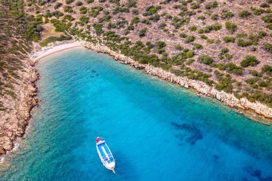 Bodrum Orak Island Boat Cruise with Lunch and Swimming - Who will enjoy this Bodrum cruise most