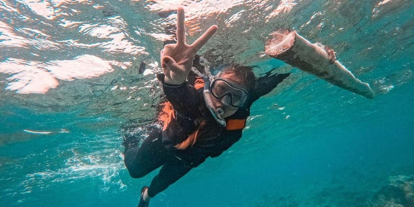Bohol Dolphin Watching, Balicasag, and Virgin Island Tour - An early start in Panglao Bay
