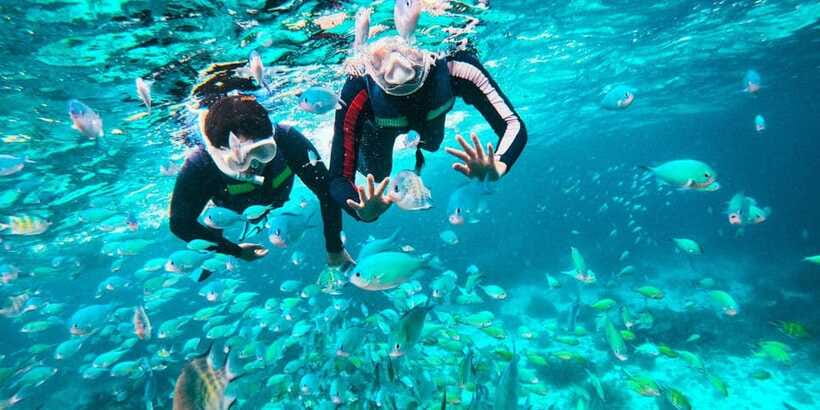 Bohol Dolphin Watching, Balicasag, and Virgin Island Tour - What $51 really buys you