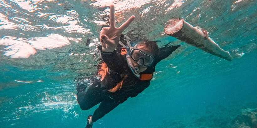 Bohol Dolphin Watching, Balicasag, and Virgin Island Tour - Should you book the Bohol island tour?