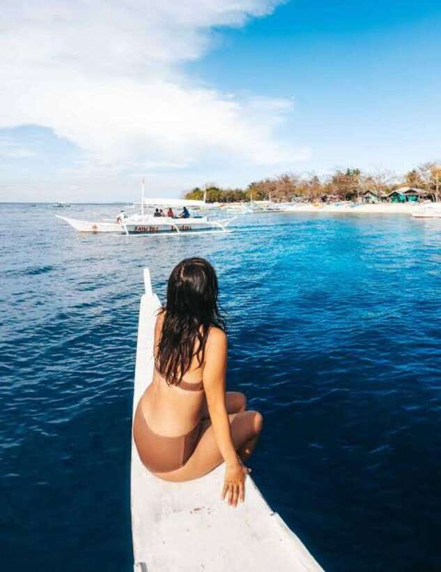 Bohol: Dolphin Watching & Sea Turtle Swim Island Tour - Key points at a glance
