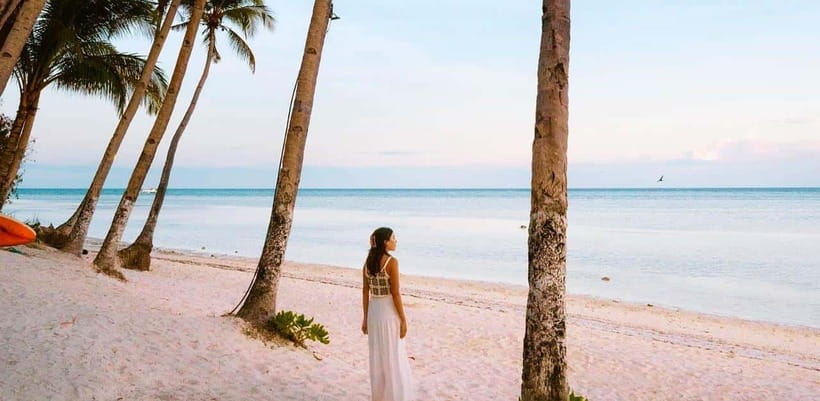 Bohol: Dolphin Watching & Sea Turtle Swim Island Tour - Swimming with turtles near Balicasag
