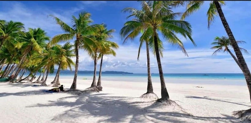 Bohol: Dolphin Watching & Sea Turtle Swim Island Tour - Guides, safety, and how the morning feels