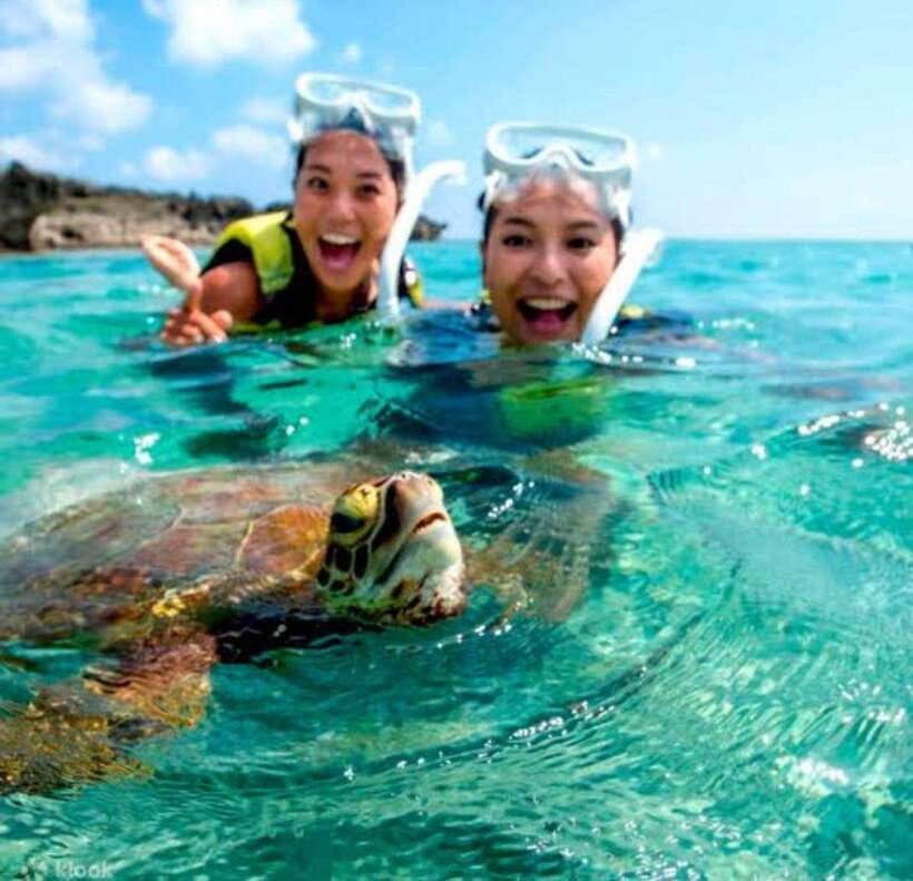Bohol: Dolphin Watching & Sea Turtle Swim Island Tour - The pre-dawn start and Panglao pickup