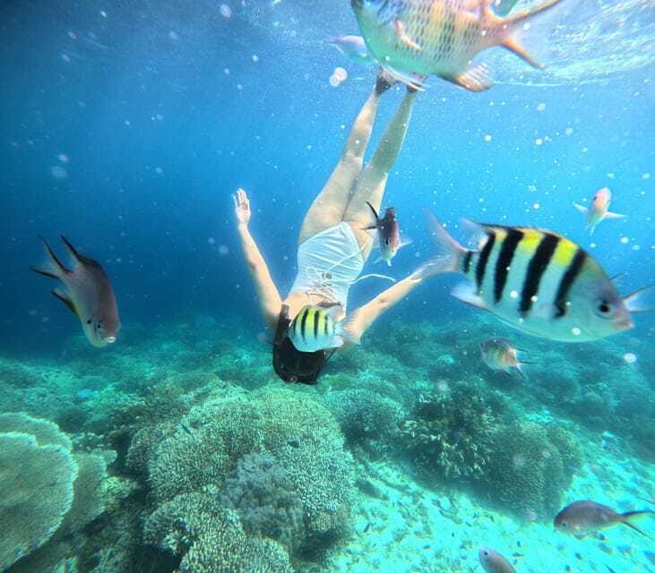 Bohol: Panglao Island Hopping Tour with Snorkeling (Private) - What the private arrangement really includes