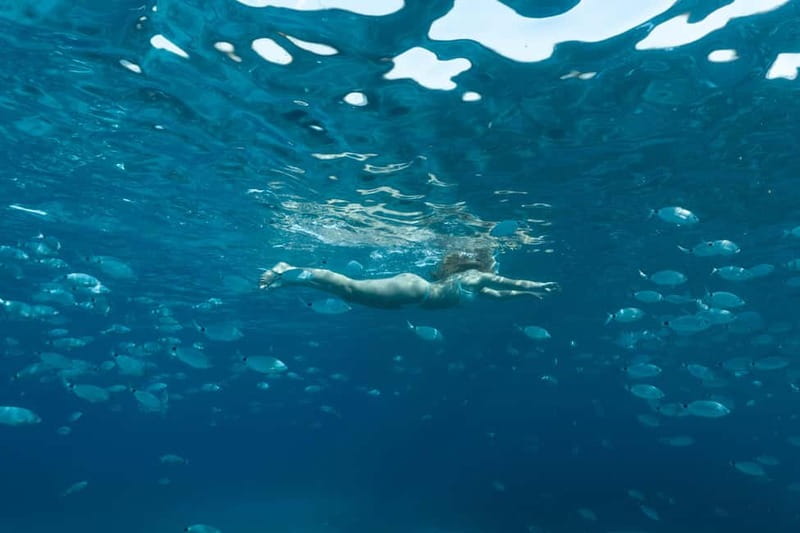 Bonifacio: Catamaran trip with snorkeling at the Lavezzi Islands - FAQ