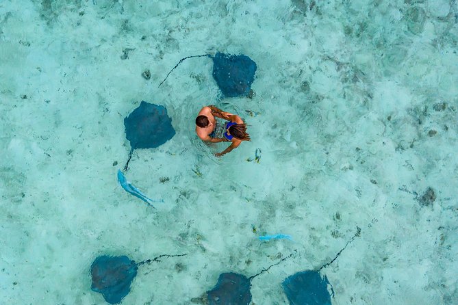 Bora Bora Snorkel Cruise by Polynesian Outrigger Canoe with BBQ Island Lunch - The coral garden is the star of the morning