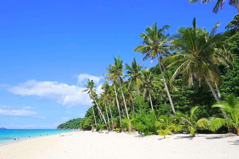 Boracay: Island Boat Tour with Crystal Cove Entry - Snorkeling with fish, but not much coral