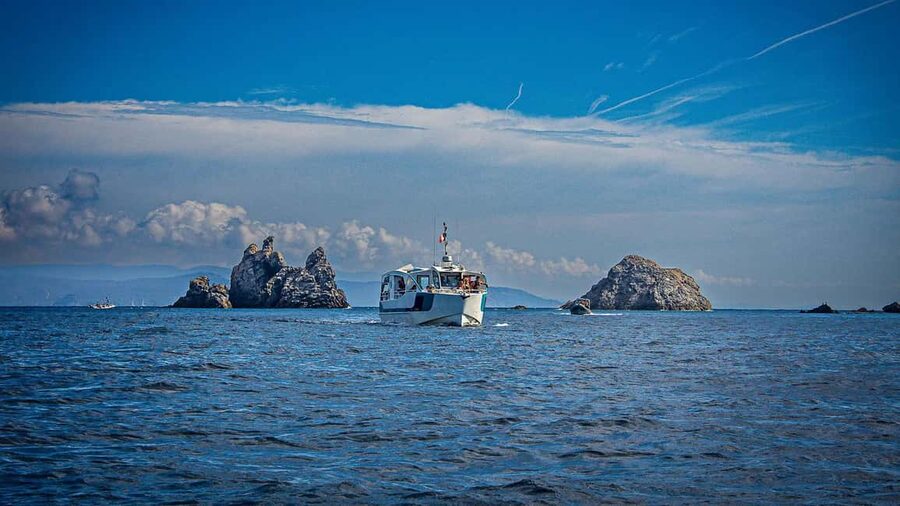 Bormes-les-Mimosas: Hybrid boat trip to Porquerolles Island - Choosing among Notre-Dame, Argent, and La Courtade