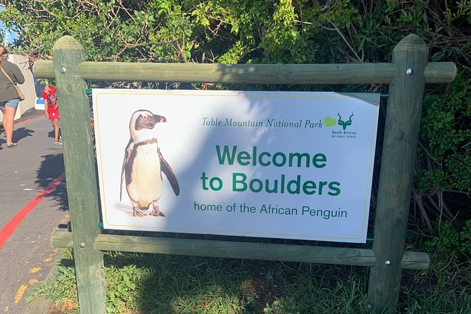 Boulders Beach Penguins and Seal Island Boat Trip Half Day Tour - What the guides add to the day