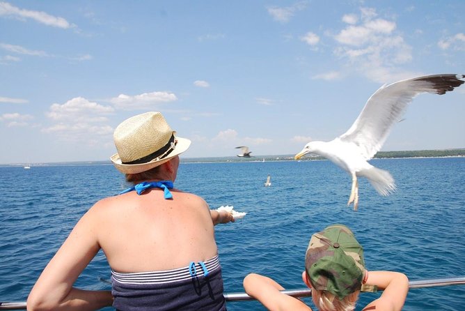 Brijuni National Park Boat Excursion from Pula. With a visit to the island - St. Jerolim Island: the real destination