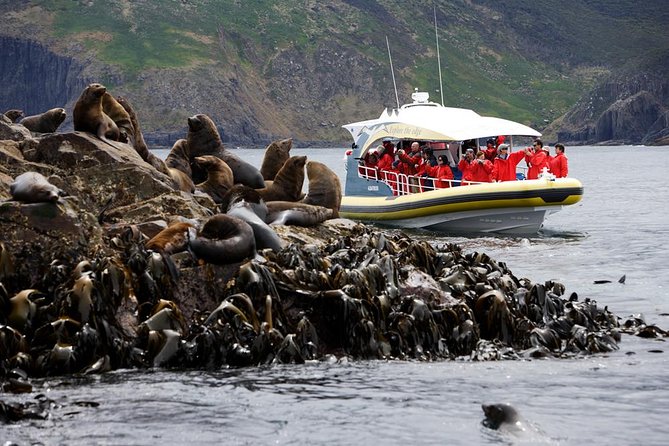 Bruny Island Wilderness Cruise from Adventure Bay, Bruny Island - Key points to know before you go