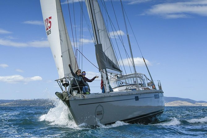 Bruny Island Wilderness Cruise from Adventure Bay, Bruny Island - What the guides add