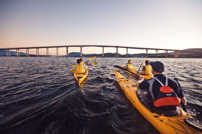 Bruny Island Wilderness Cruise from Adventure Bay, Bruny Island - Is $129.10 good value?