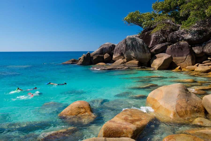 Cairns: Fitzroy Island Ferry with Optional Lunch & Activity - What this Fitzroy Island day is really like