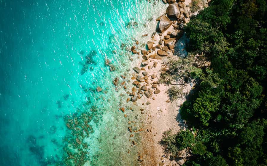 Cairns: Fitzroy Island Ferry with Optional Lunch & Activity - The catamaran ride from Cairns to Fitzroy Island