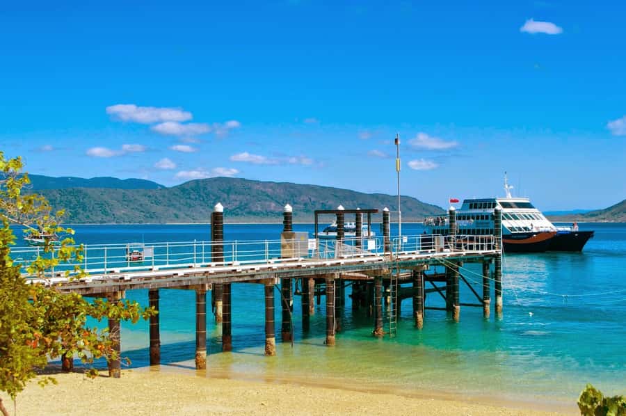 Cairns: Fitzroy Island Ferry with Optional Lunch & Activity - Snorkeling from the beach, with gear or without it
