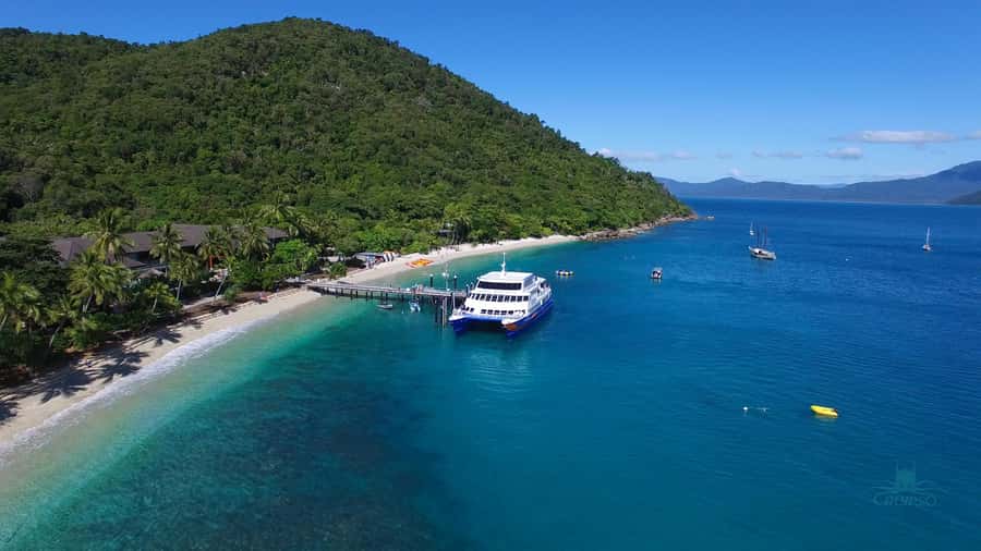 Cairns: Fitzroy Island Ferry with Optional Lunch & Activity - Optional kayaking, guided walks, and the Turtle Centre