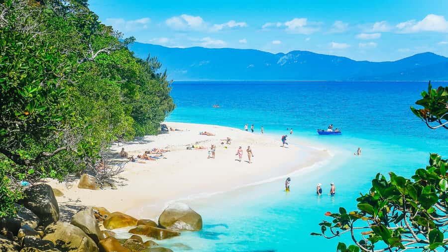 Cairns: Fitzroy Island Ferry with Optional Lunch & Activity - Getting to the Reef Fleet terminal by 9:45 AM