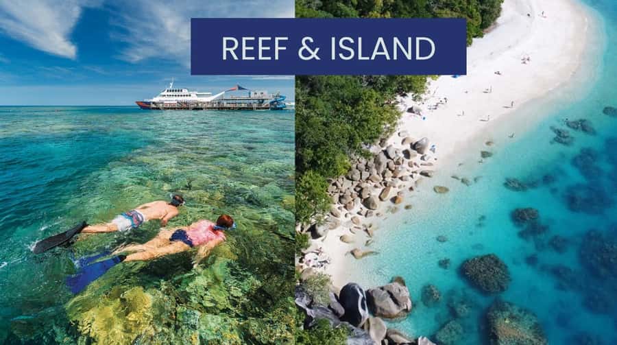 Cairns: Great Barrier Reef and Fitzroy Island Boat Tour - Starting early at the Reef Fleet Terminal
