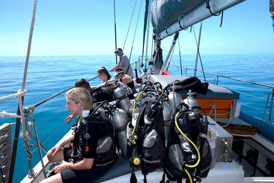 Cairns: Green Island & Great Barrier Reef Sailing Tour - The afternoon return to the reef