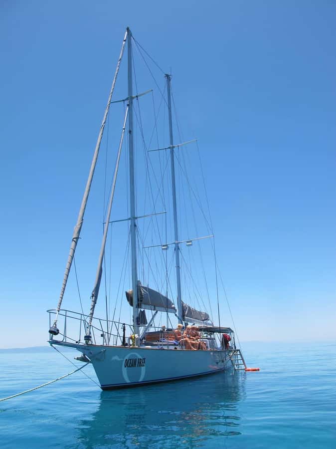 Cairns: Green Island & Great Barrier Reef Sailing Tour - The best part for some: sailing home under wind power