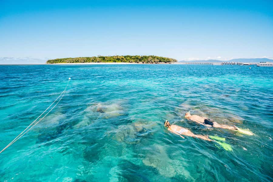 Cairns: Green Island Snorkelling or Glass Bottom Boat - Key things to know before you book