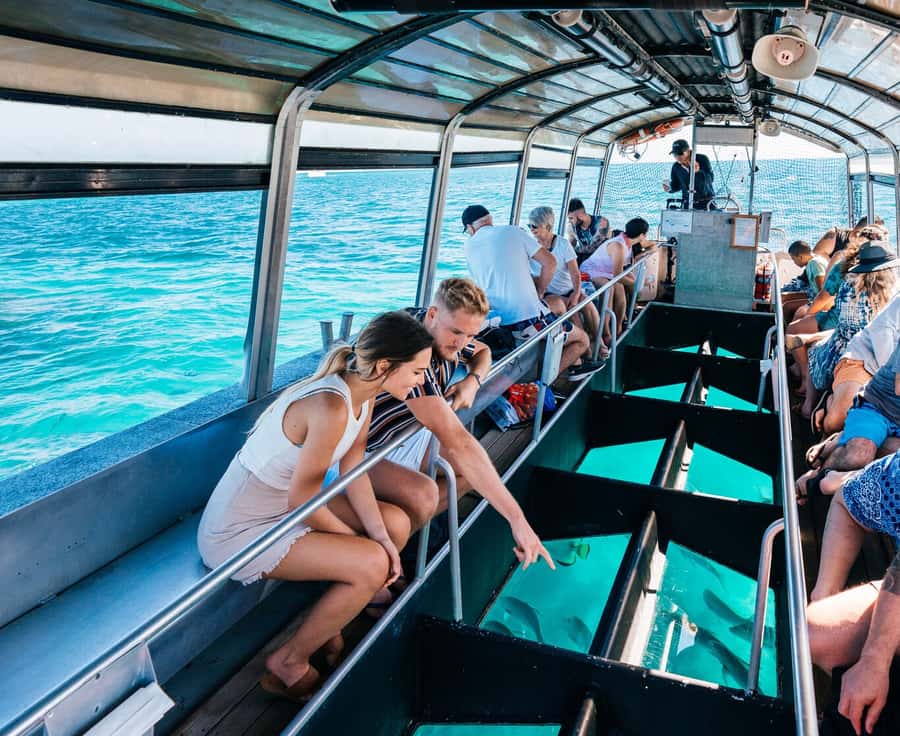 Cairns: Green Island Snorkelling or Glass Bottom Boat - Choosing snorkeling or the glass-bottom boat
