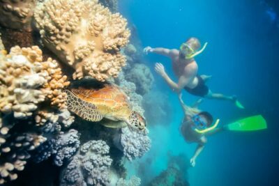 Green Island Snorkelling or Glass Bottom Boat