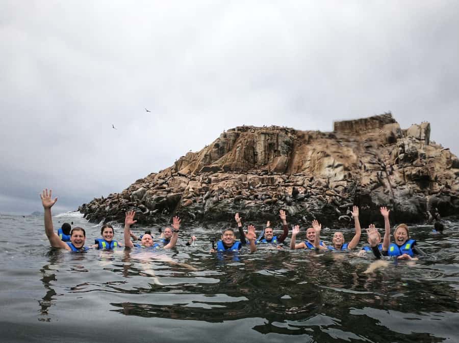 Callao: Swimming with Sea Lions Palomino Islands Boat Tour - Key points to know before you book