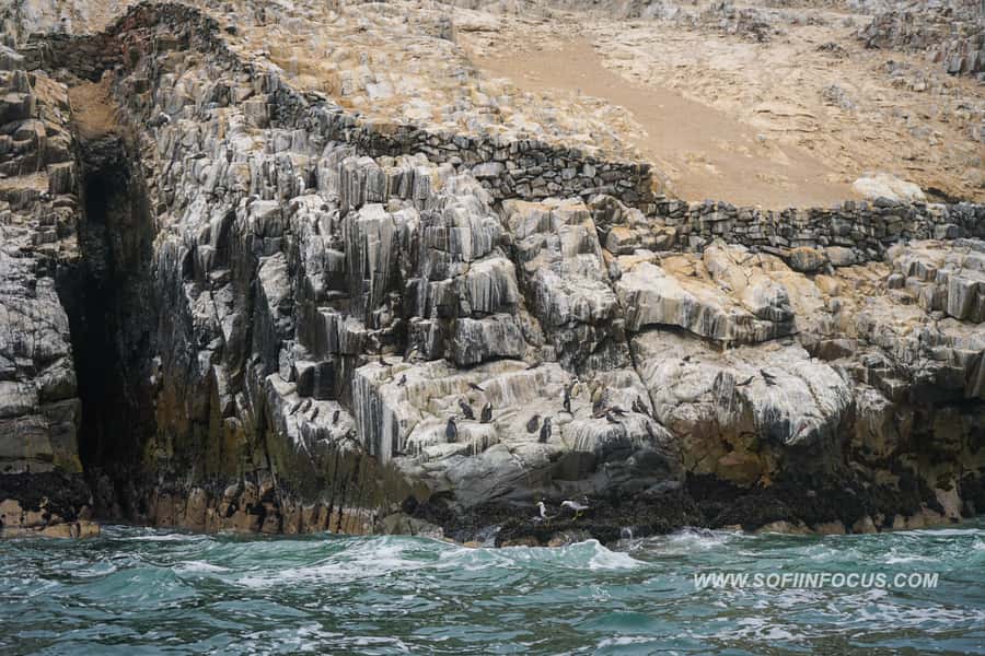 Callao: Swimming with Sea Lions Palomino Islands Boat Tour - Photos, snacks, and the return to Callao