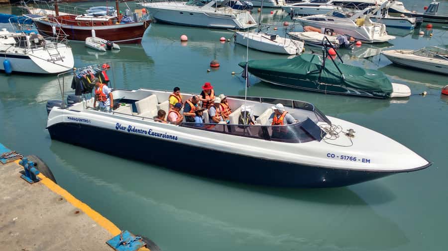 Callao: Swimming with Sea Lions Palomino Islands Boat Tour - Is $76 a fair price?