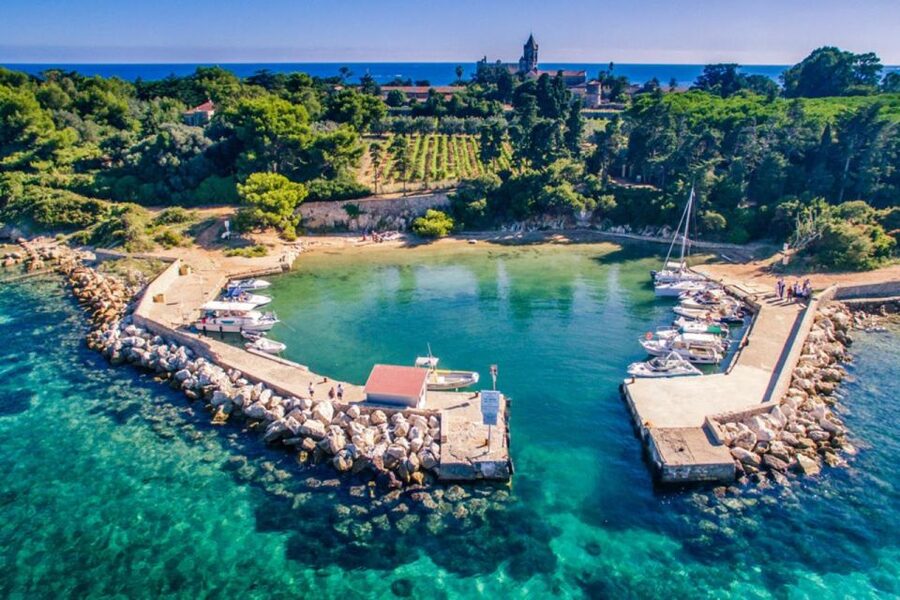 Cannes: Boat trip without a license to the Lerins Islands - Key points to know before you book
