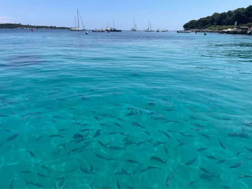 Cannes: Boat trip without a license to the Lerins Islands - Sainte-Marguerite Island and the underwater museum