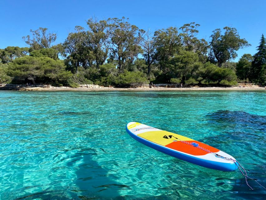 Cannes Private Boat Tour to Lérins Islands - Relax & Cruise - Cannes Bay views before the islands