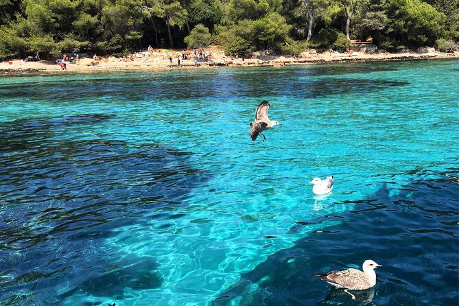 Cannes Private Boat Tour to the Lerins Islands – Relax & Cruise - Timing, weather, and cancellation details