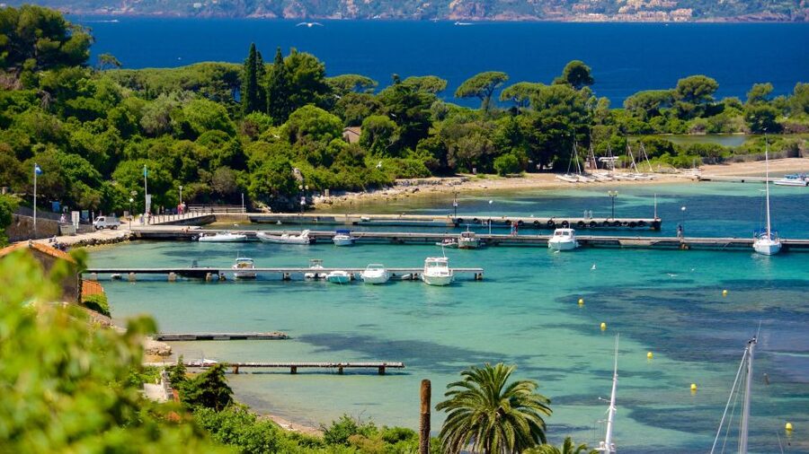 Cannes: Private Boat Trip to Lerins Islands & Cap d'Antibes - Cruising toward Cap dAntibes