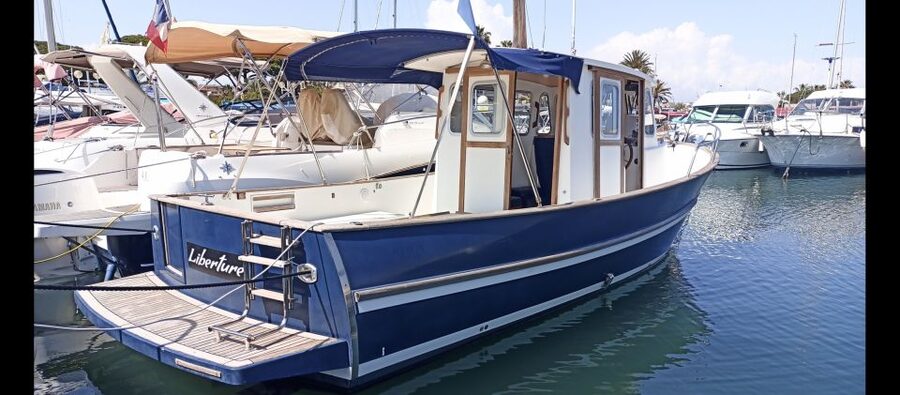 Cannes: Private Boat Trip to Lerins Islands & Cap d'Antibes - Swimming, snorkeling, and paddleboarding