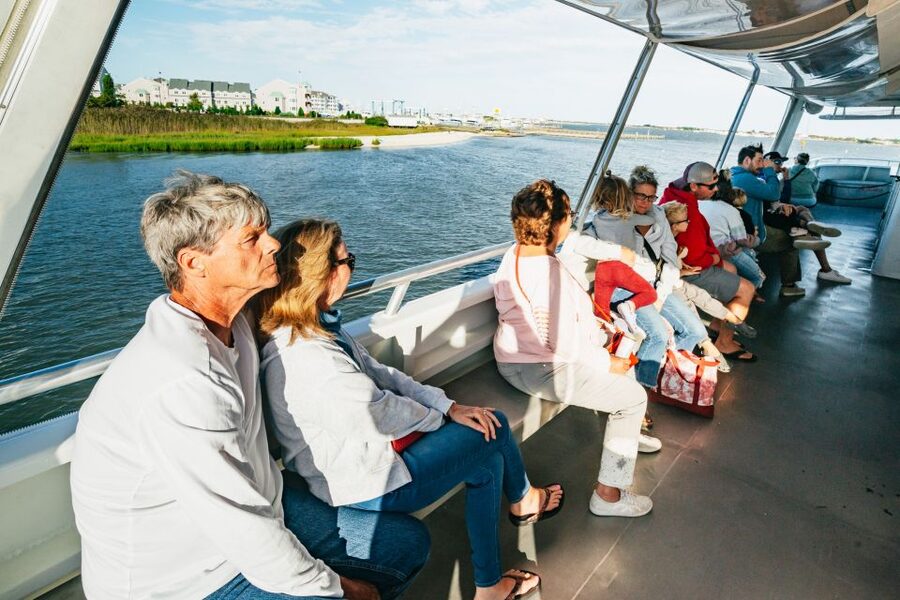 Cape May: Cape May Island Sunset Cruise & Dolphin Watching - How the $40 price holds up