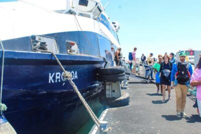 Robben Island ferry ticket plus Guided Tour