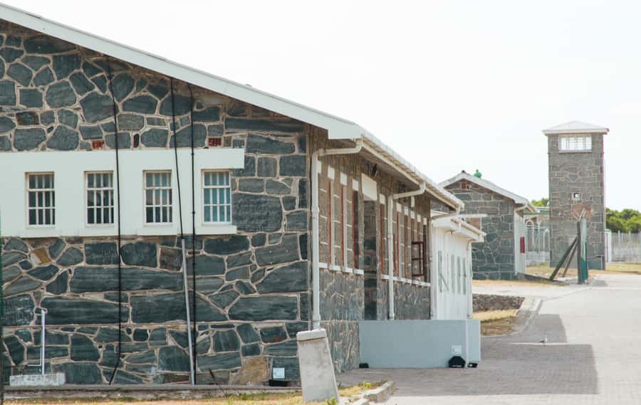 Cape Town: Robben Island Ferry Tour with 1-Way Hotel Pickup - How the five-hour schedule feels