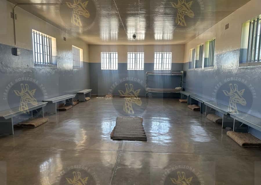 Cape Town: Robben Island Ferry with Prison Ticket and Tour - Is $90 a fair price?